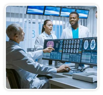 the brain song research